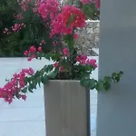 Ca Del Mar