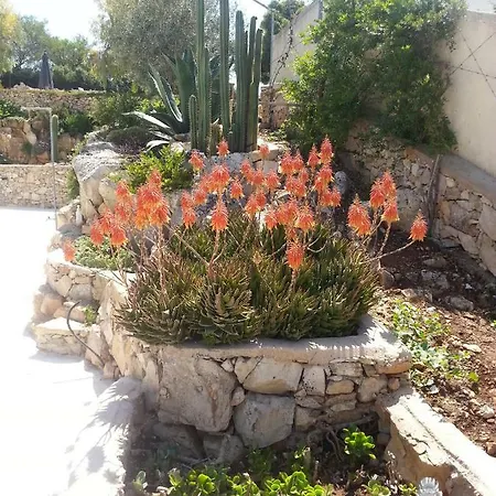 Casa de hóspedes Cà Del Mar 4*