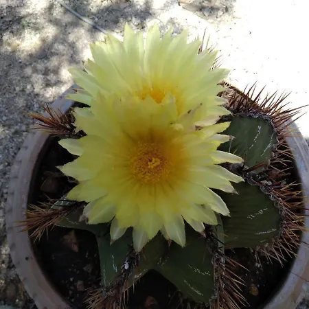 Guest house Ca Del Mar Morciano di Leuca