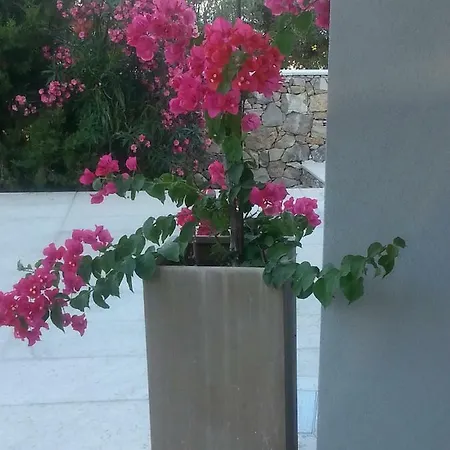 Ca Del Mar