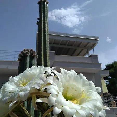 Cà Del Mar Casa de hóspedes Morciano di Leuca