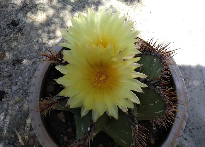 Guest house Ca Del Mar Morciano di Leuca