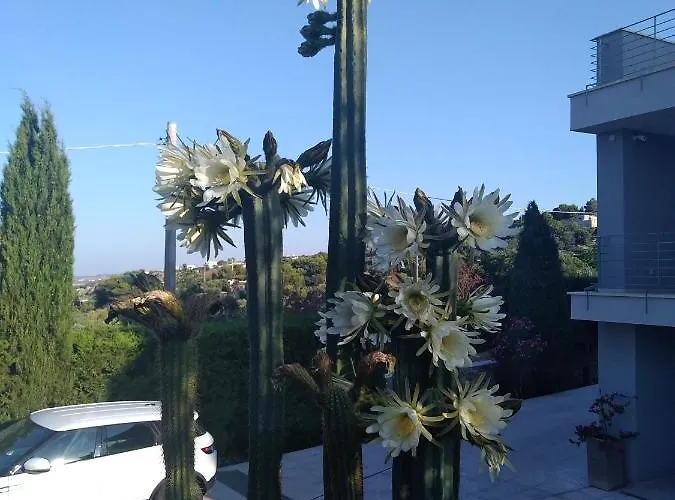 Affittacamere Cà Del Mar